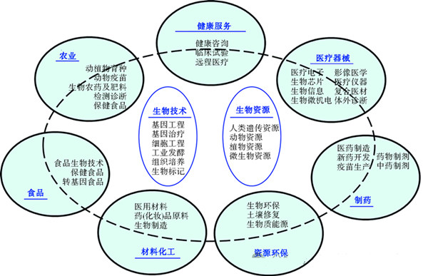 生物經(jīng)濟,一諾生物,廠(chǎng)家,工廠(chǎng),生產(chǎn)廠(chǎng)家,生物經(jīng)濟規模